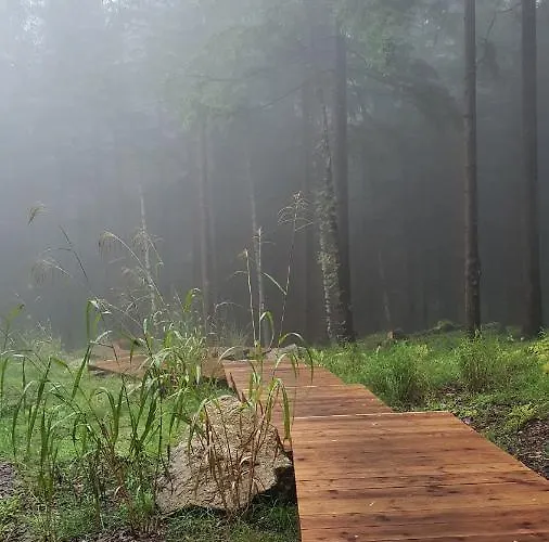 Ośrodek wypoczynkowy Leśna Kąpiel